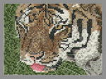 [Siberian Tiger]